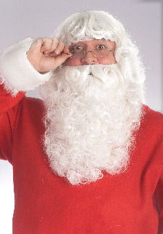 Deluxe Santa Beard and Wig Set R2346