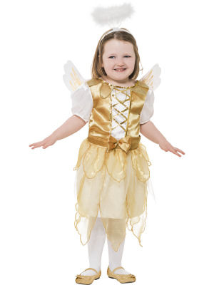 Angel Fairy Costume S39796