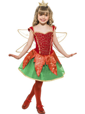 Christmas Elf Fairy Costume S39819